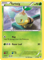Turtwig from CROWN ZENITH 2023