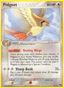 Pidgeot from JUNGLE 1997